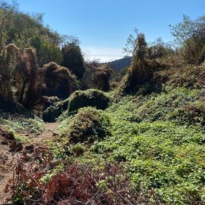 Meet your Posher, Terri